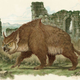 Illustration for article titled Inside The Fantasy Art Of Superstar Artist Tony DiTerlizzi
